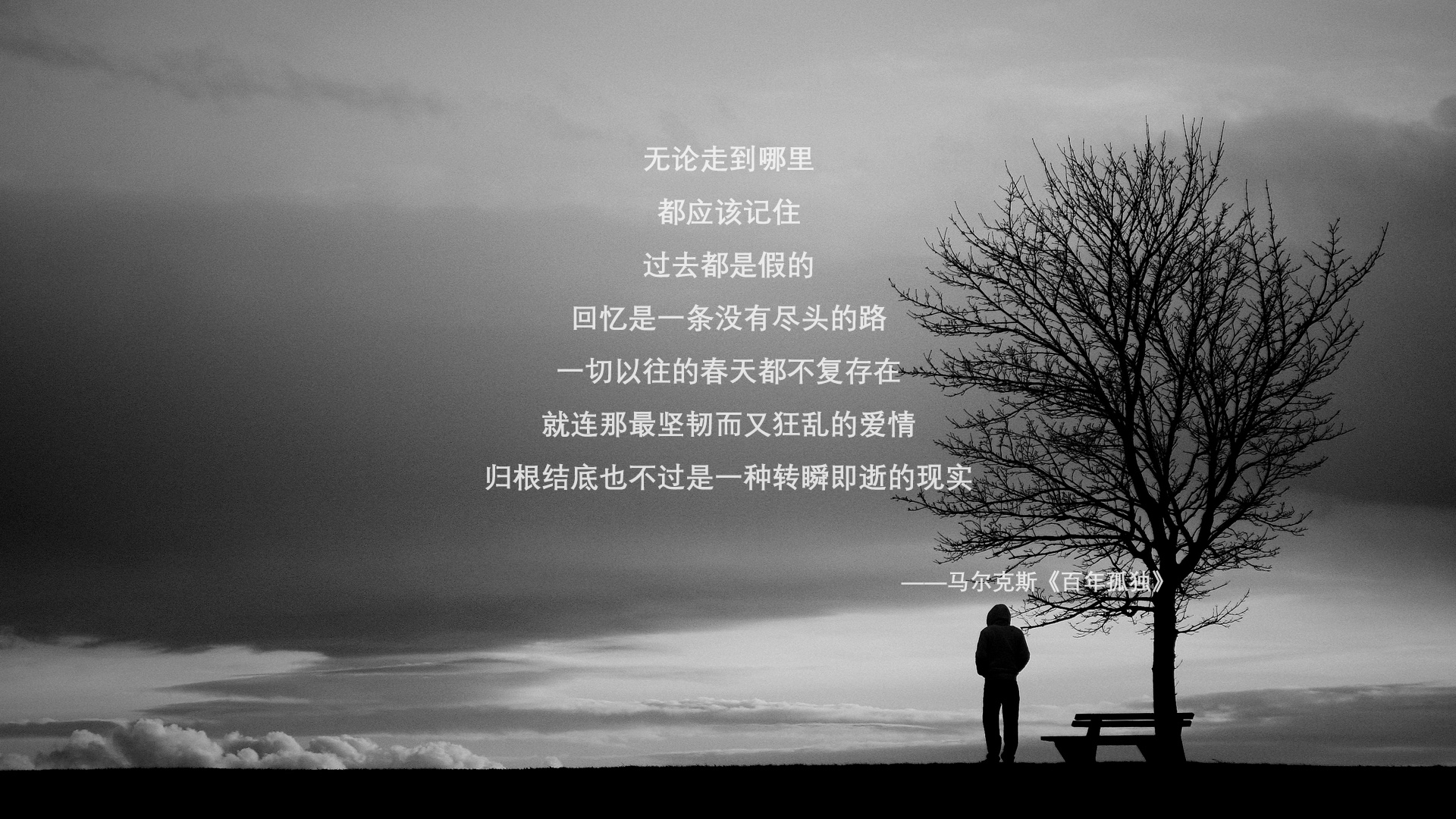 世俱杯决赛-伊朗青少年马术选手在2024年全国青少年马术锦标赛中表现出色，获得多项荣誉。