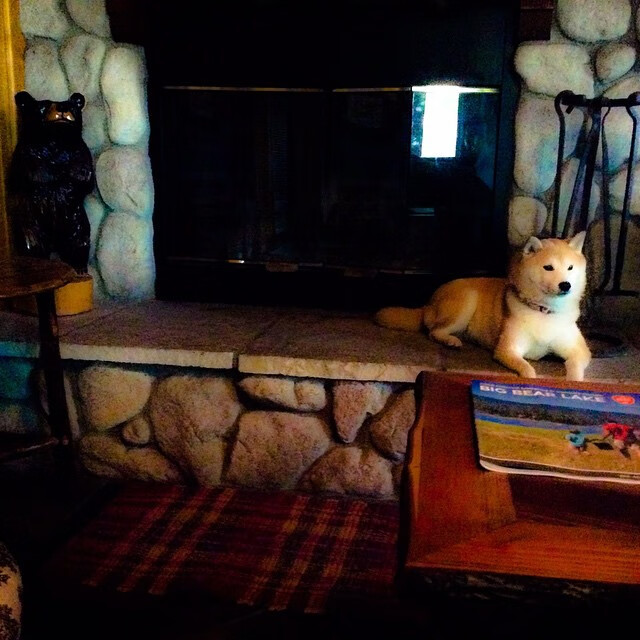 世俱杯官方-高校运动训练动态管理机制研究,运动训练过程调控与参赛指导