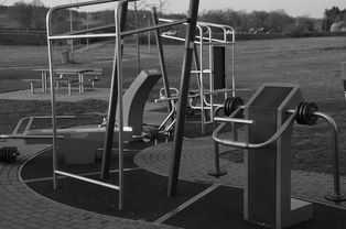 世俱杯官方-高校运动训练动态管理机制研究,运动训练过程调控与参赛指导