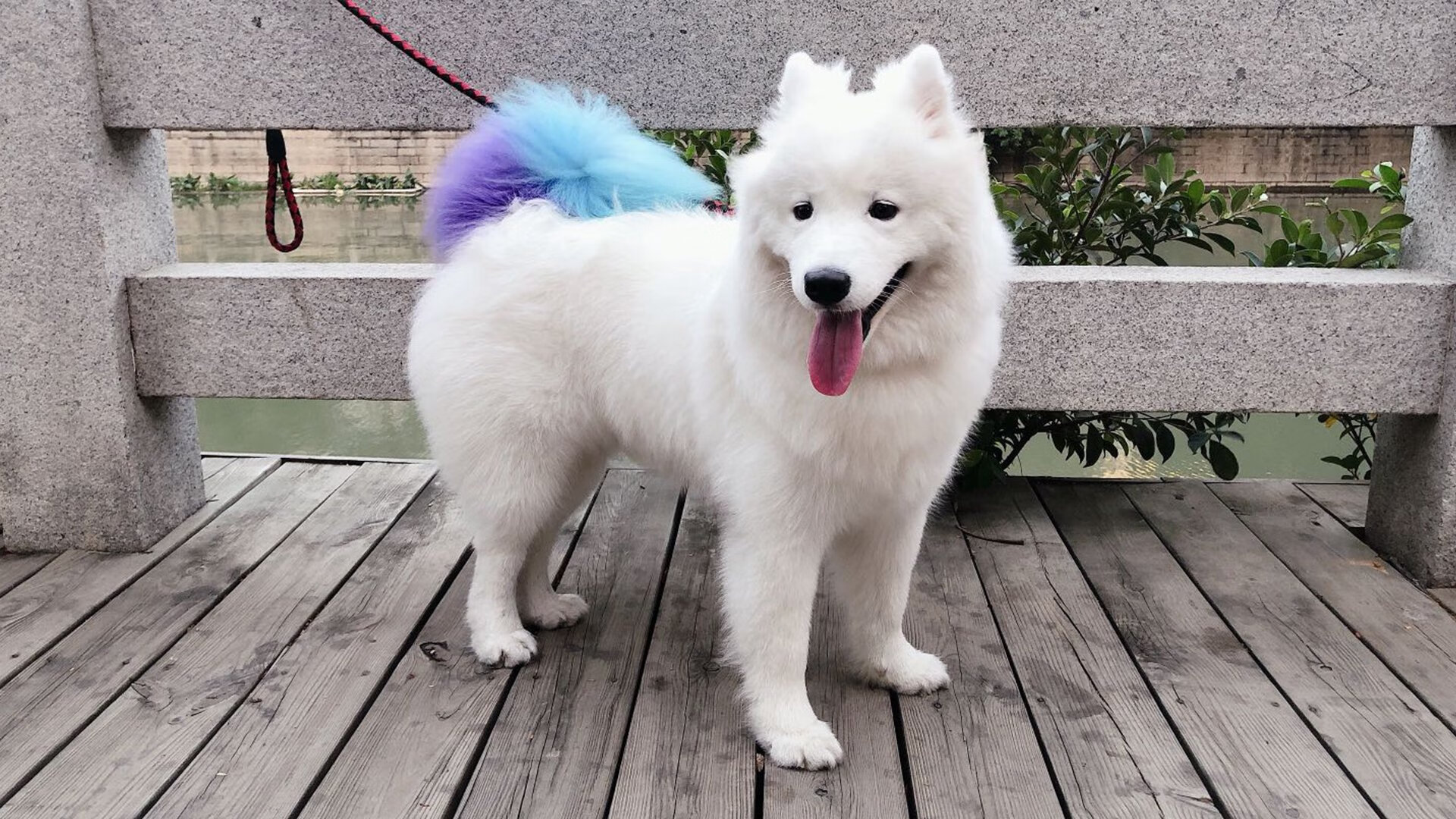 2025世俱杯赛程-中小俱乐部生存压力持续加大，俱乐部发展现状